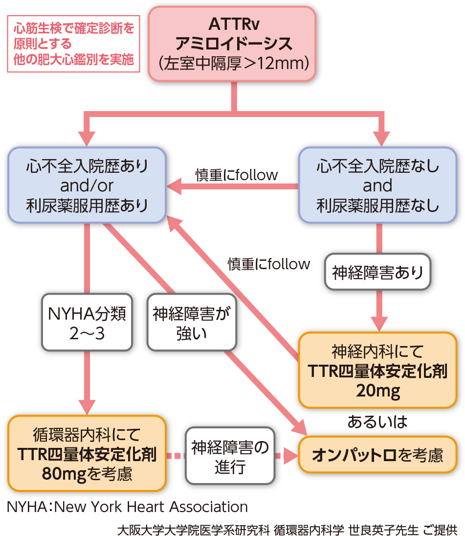 図3 大阪大学医学部附属病院におけるATTRvアミロイドーシス（神経障害/心病変あり）への対応